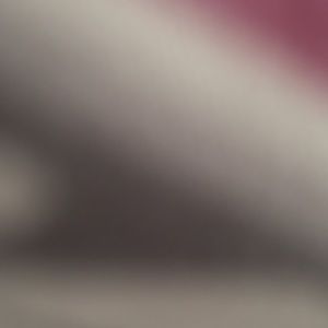 Meet your Posher, Jans